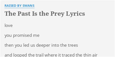 The Past Is The Prey lyrics [Raised By Swans]