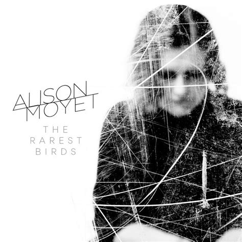 The Rarest Birds lyrics [Alison Moyet]