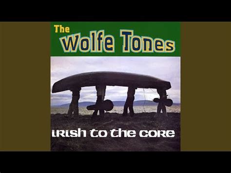 The Vale of Avoca lyrics [The Wolfe Tones]