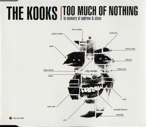 Too Much Of Nothing lyrics [The Kooks]