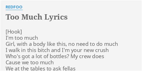 Too Much lyrics [Redfoo]