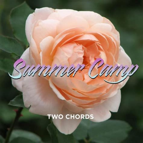 Two Chords lyrics [Summer Camp]