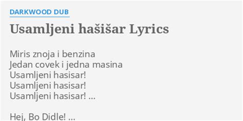 Usamljeni hašišar lyrics [Darkwood Dub]