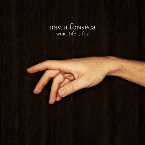 What Life is For lyrics [David Fonseca]