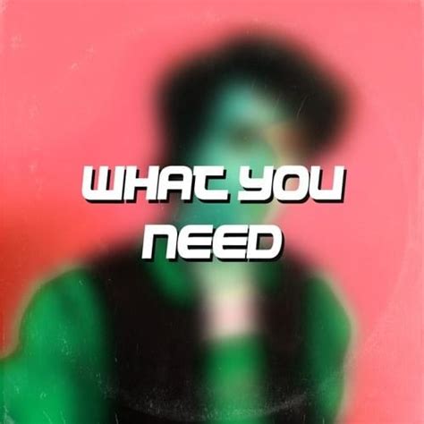 What You Need lyrics [Cola Cartel]