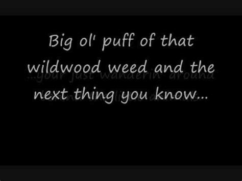 Wildwood Weed lyrics [Jim Stafford]