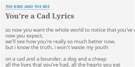 You're a Cad lyrics [​the bird and the bee]